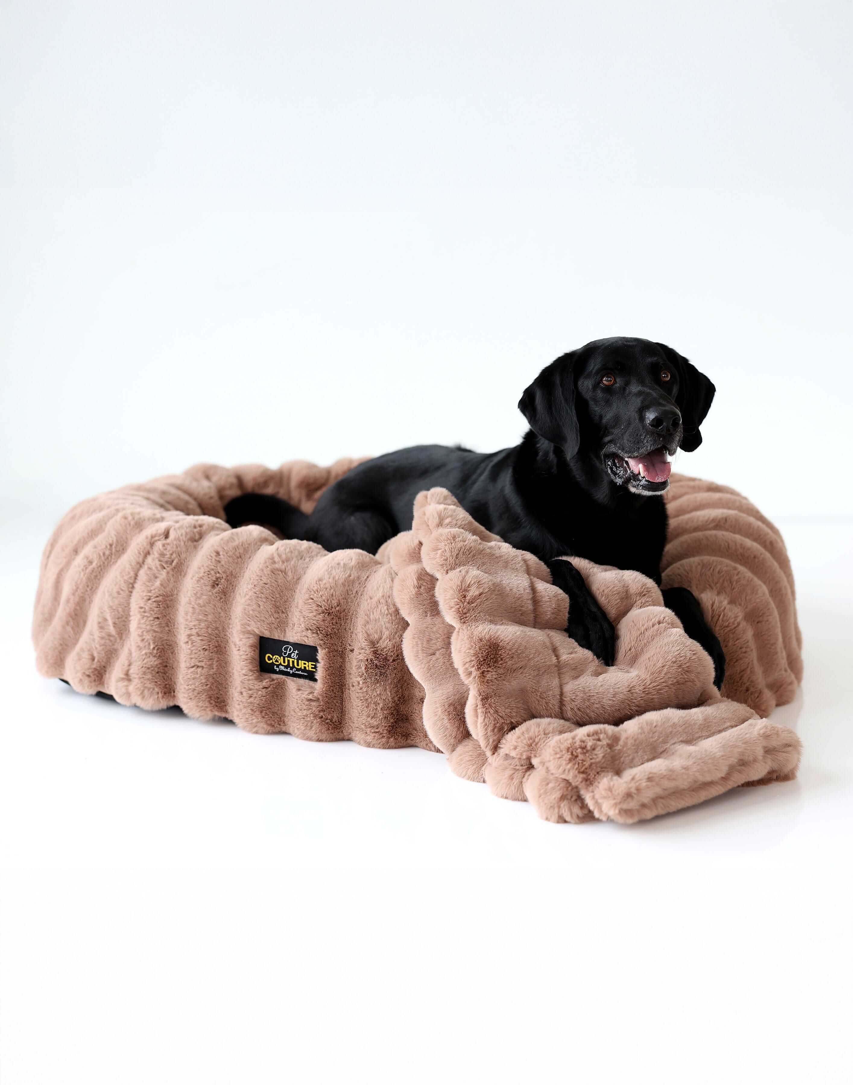 Milk Chocolate Pet Blanket - Image 3